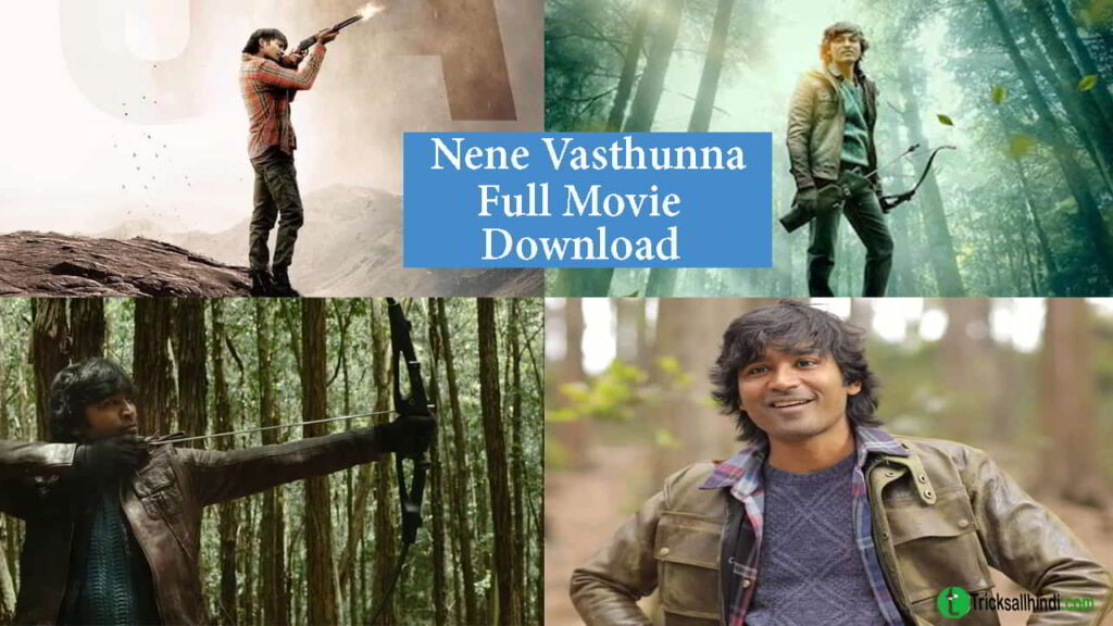 Nene Vasthunna Movie Download Pagalworld